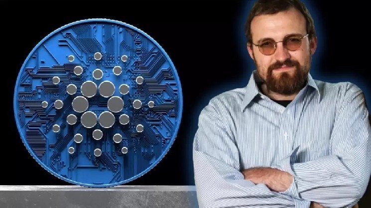 Основатель Cardano (ADA) Чарльз Хоскинсон сделал шокирующее заявление: «Этой функции нет в Bitcoin и Ethereum»